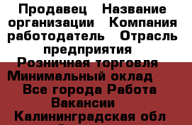 Продавец › Название организации ­ Компания-работодатель › Отрасль предприятия ­ Розничная торговля › Минимальный оклад ­ 1 - Все города Работа » Вакансии   . Калининградская обл.,Советск г.